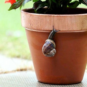 snail copper tape pest repellant ethical pest control