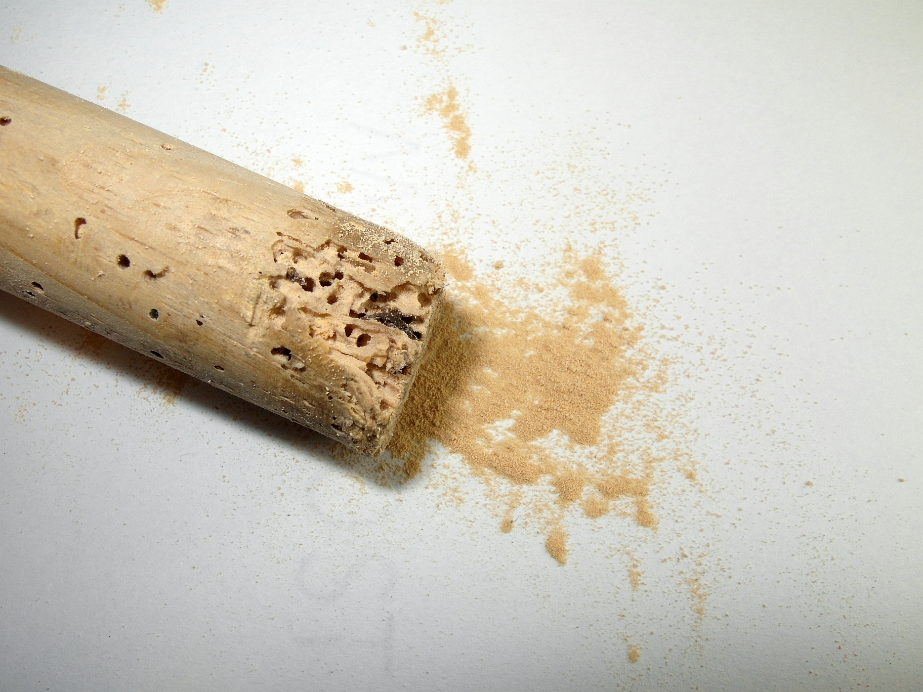 broomstick damaged by woodworm signs of woodworm wood dust